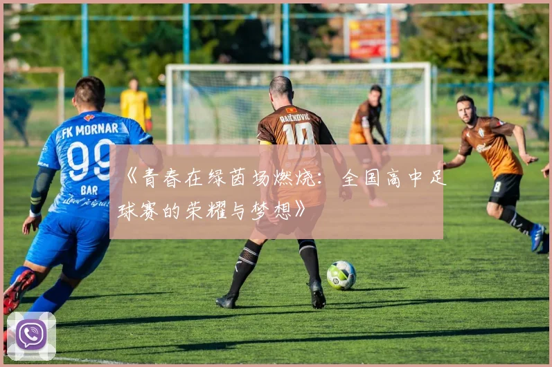 《青春在绿茵场燃烧:全国高中足球赛的荣耀与梦想》